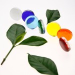 chakra disks